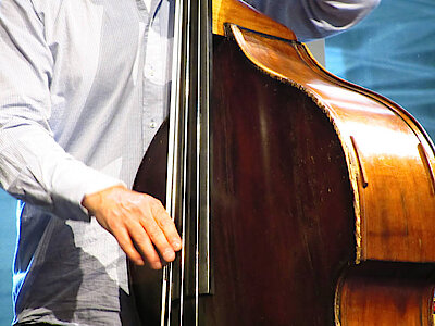 Contrabbasso: livello principianti 